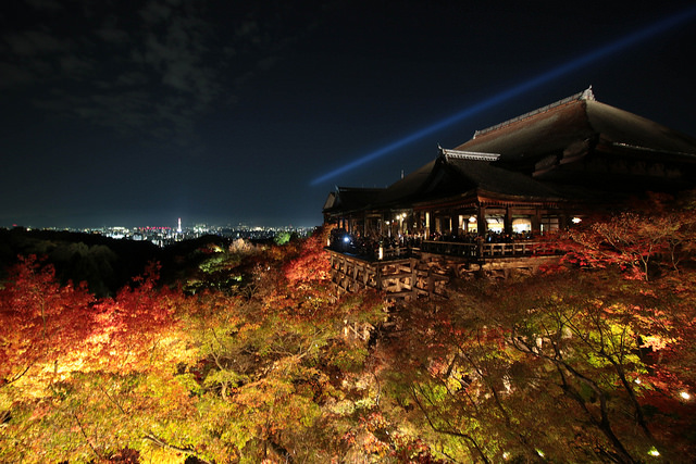 京都 紅葉ライトアップ 真っ赤に燃えあがる清水寺と青く幻想的な青蓮院門跡の旅 My Roadshow