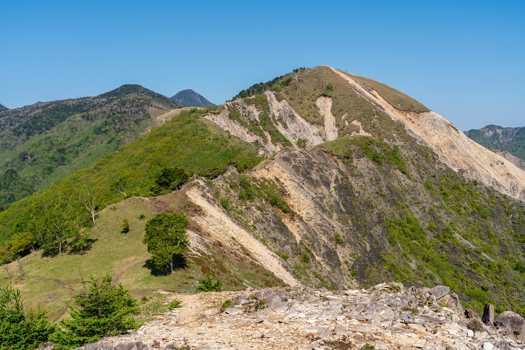 孤高のブナの中倉山・沢入山
