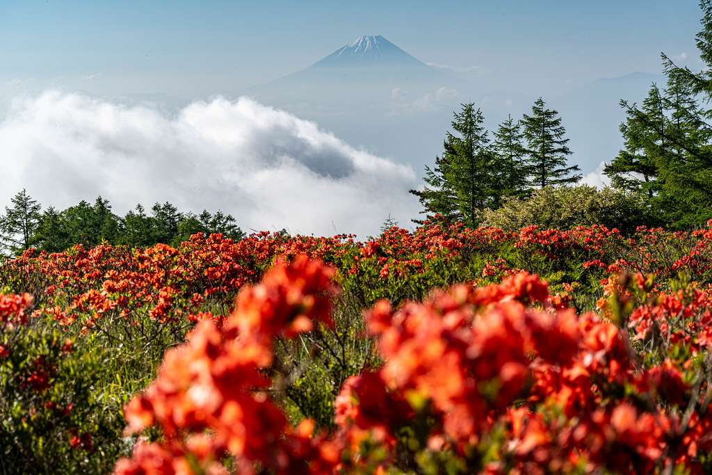 甘利山
