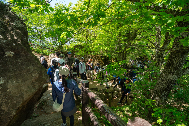 女体山の山頂と合流